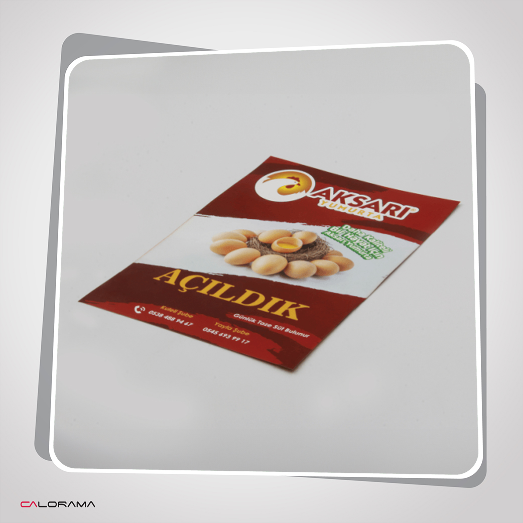  15*20 مقاس \ A5 فلاير